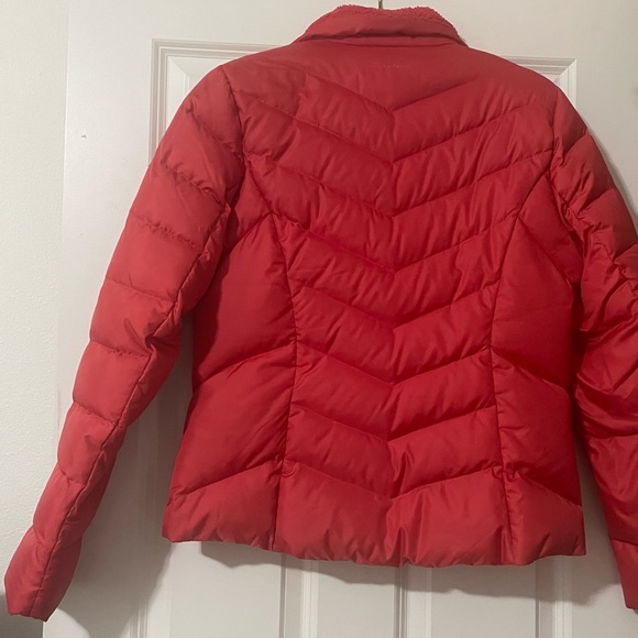 Premium Goose Down Eddie Bauer Winter Jacket - Picture 4 of 7
